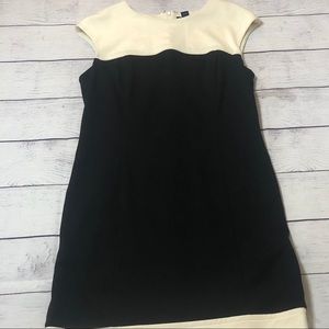 Chaps Black and Cream Sheath Dress Size 12